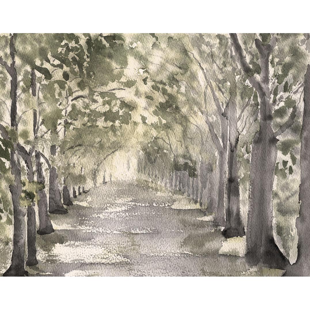 Cuadro decoración pared LIENZO SIN ENMARCAR paisaje horizontal grande "CAMINO DE VERANO" Acuarela Lienzo Alta Calidad Arboles Bosque Luz Naturaleza Arte Contemporáneo Verde Sepia Grises dorado Neutro rojizo Salón Pasillo Comedor Ref ANA DURAN A 086 B