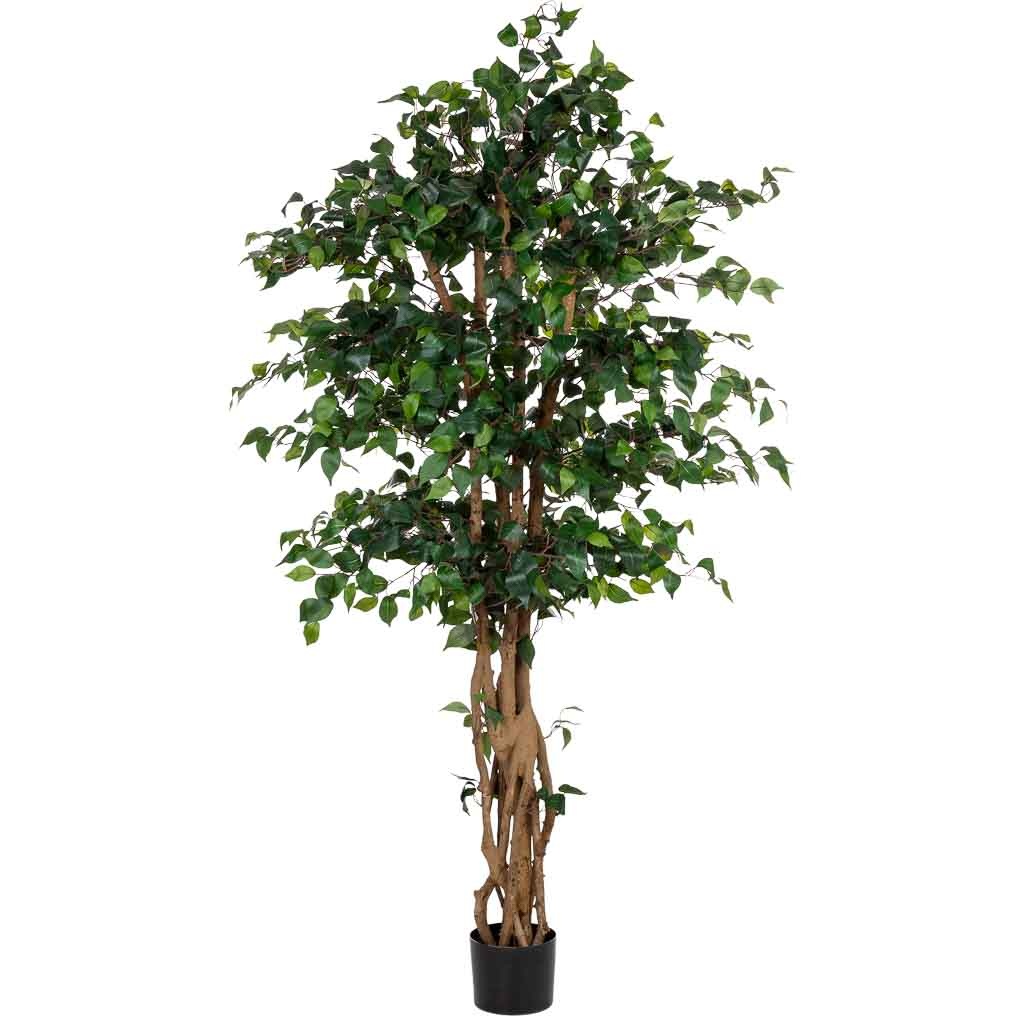 Wonderlust Deco - Planta banyan decorativa artificial en maceta 40x30x180h cm Verde 40x30x180h cm