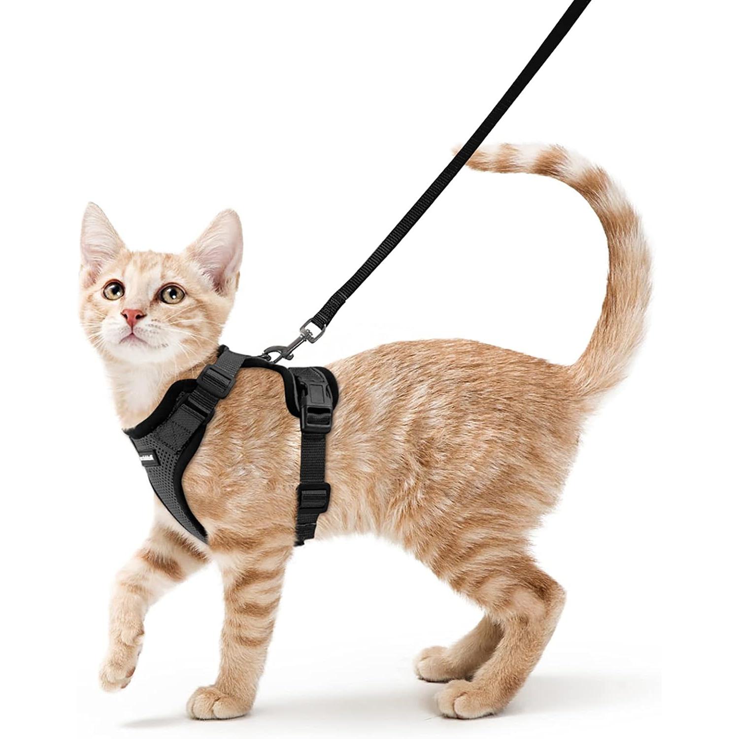 Arnés y Correa para Gatos, a prueba de fugas, With Anilla metálica para Correa, Ligero, Afable, reflectant, adjustable, Talla S, Negro