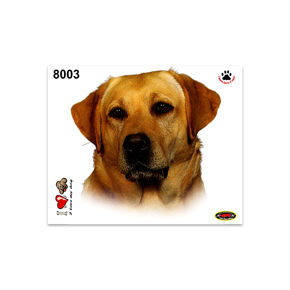 Labrador Retriever Pegatinas 14x16 cm