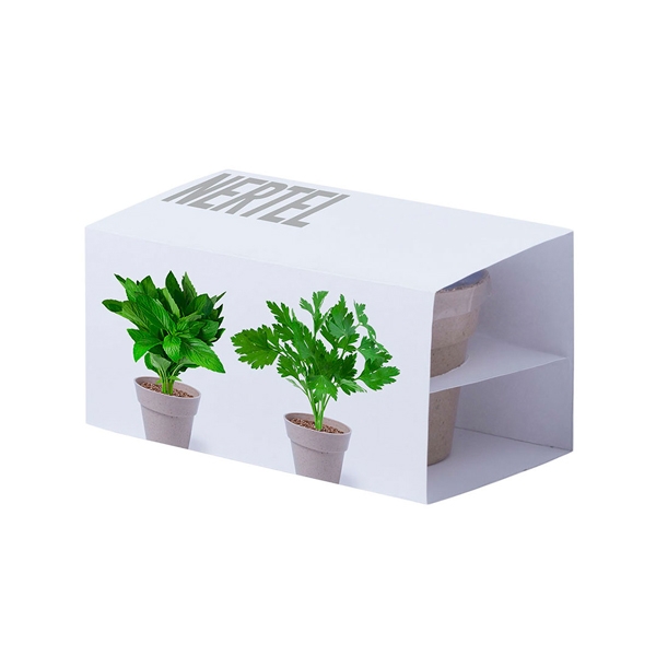 Lote de 12 Set 2 Macetas Plantas Semillas - Detalles Bodas Comuniones Ecológicos Gourmet sostenibles