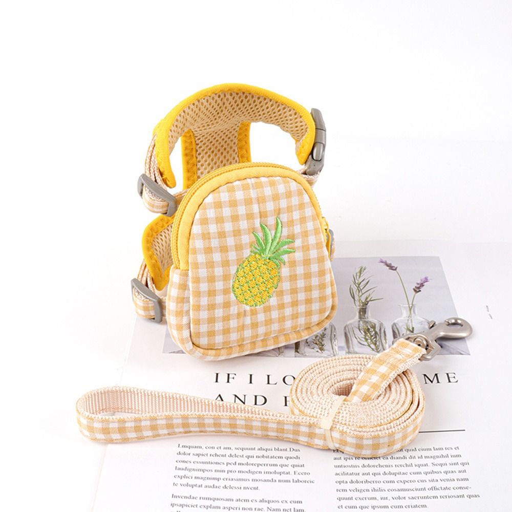 CA Bolsa de Transporte de trackión funcional para mascotas, Collar Halter para Perros y Gatitos, mochipa para Gatos, Bolsa de Correa para Perros