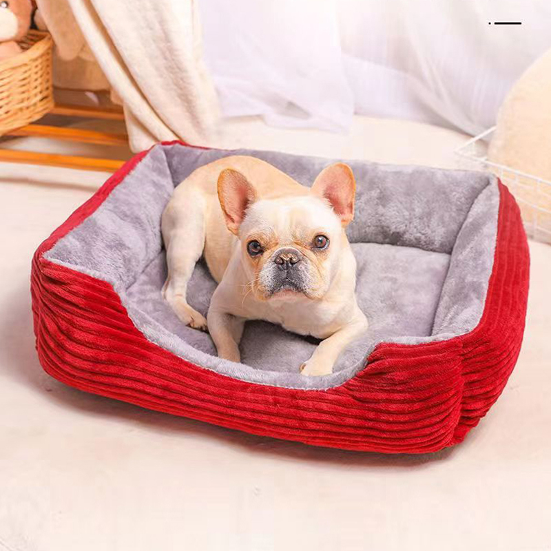 Cama para perro para todas las estaciones, Ideal para perros y gatos pequeños, medianos y grandes, el favorito de Teddy