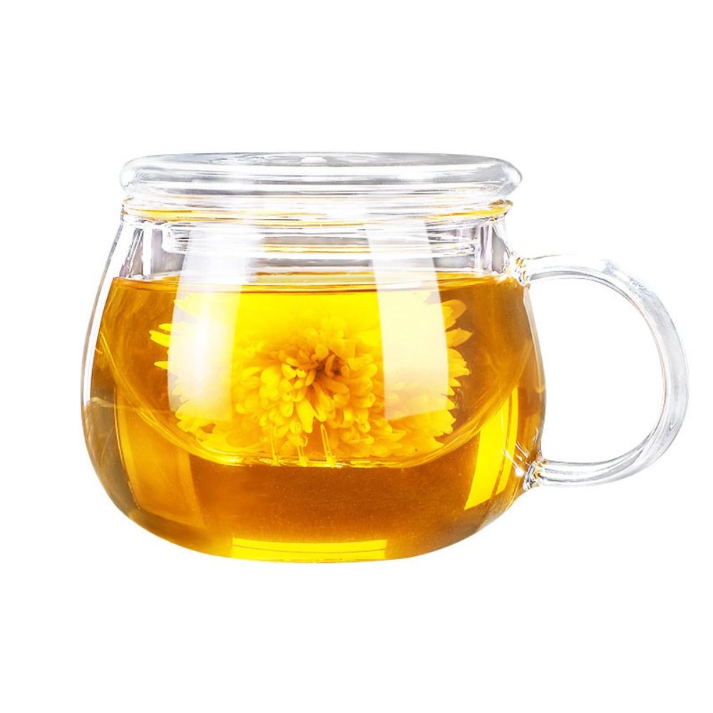 Om Home Taza de té de Vidrio de borosilicato alto, úthil, 400ml/500ml, separación REDONDA/en Forma De Seta, Infuser de Té Para Sala de estar