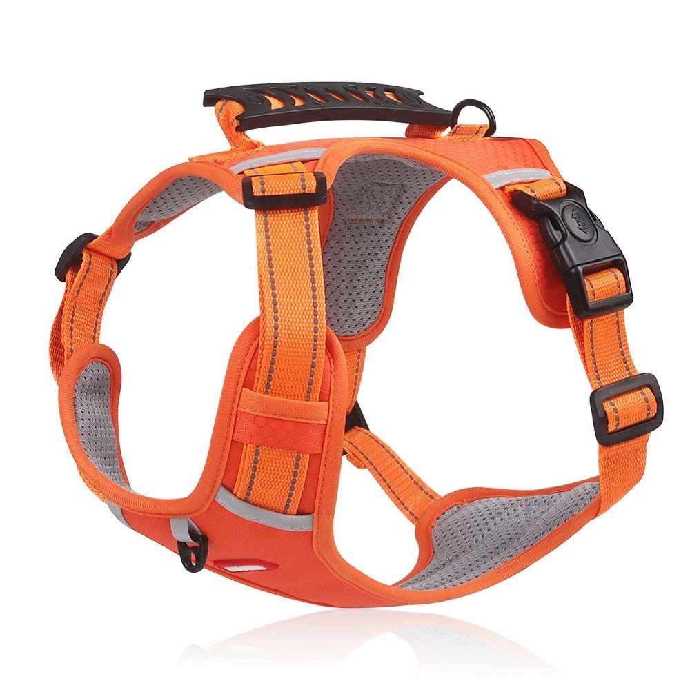 CA Halter Arnés para Mascotas a Prueba de Explosiones - Arnés Halter de Traqueón